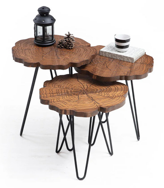 Mesa de Centro Kütük